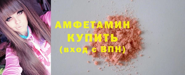 шишки Арсеньев