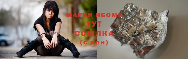 шишки Арсеньев