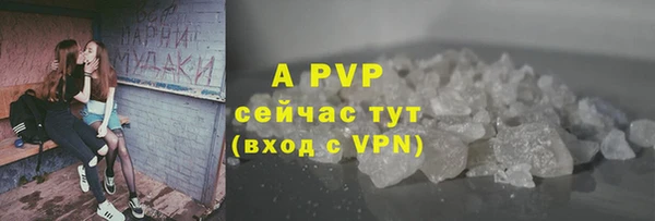 шишки Арсеньев