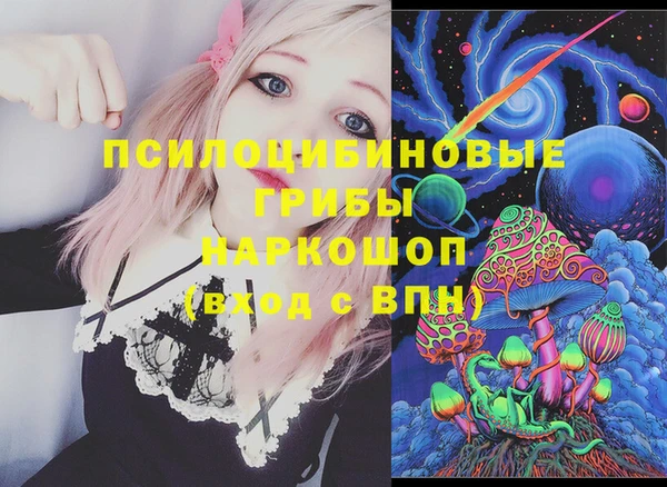 шишки Арсеньев