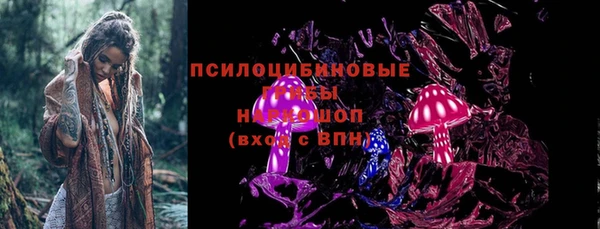 шишки Арсеньев