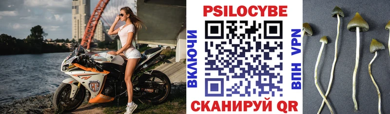 Псилоцибиновые грибы мицелий  Лабытнанги 